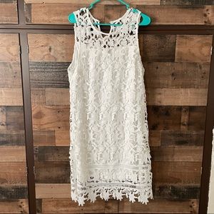 White Francesca’s lace dress Large